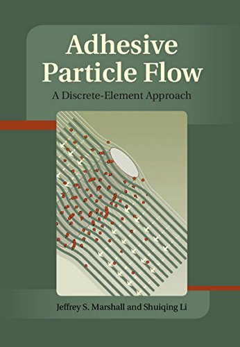 Adhesive Particle Flows view 2