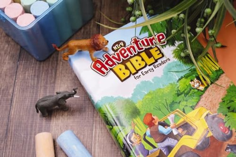 NIrV Adventure Bible for Early Readers – Zonderkidz view 5