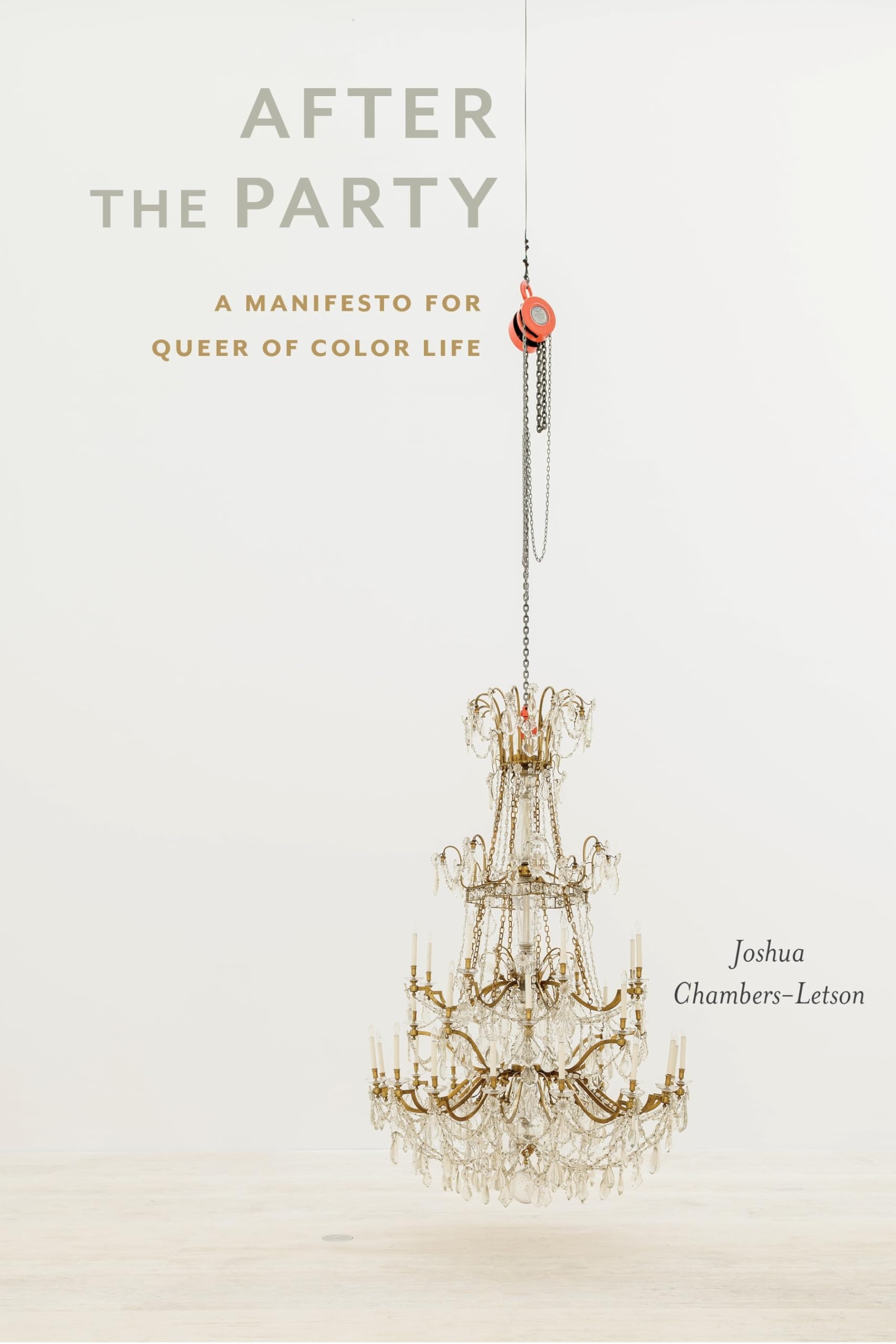 Buy After the Party: A Manifesto for Queer of Color Life: 4 (Sexual Cultures) — BookShops.in