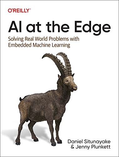 AI at the Edge (English, Daniel Situnayake) view 2