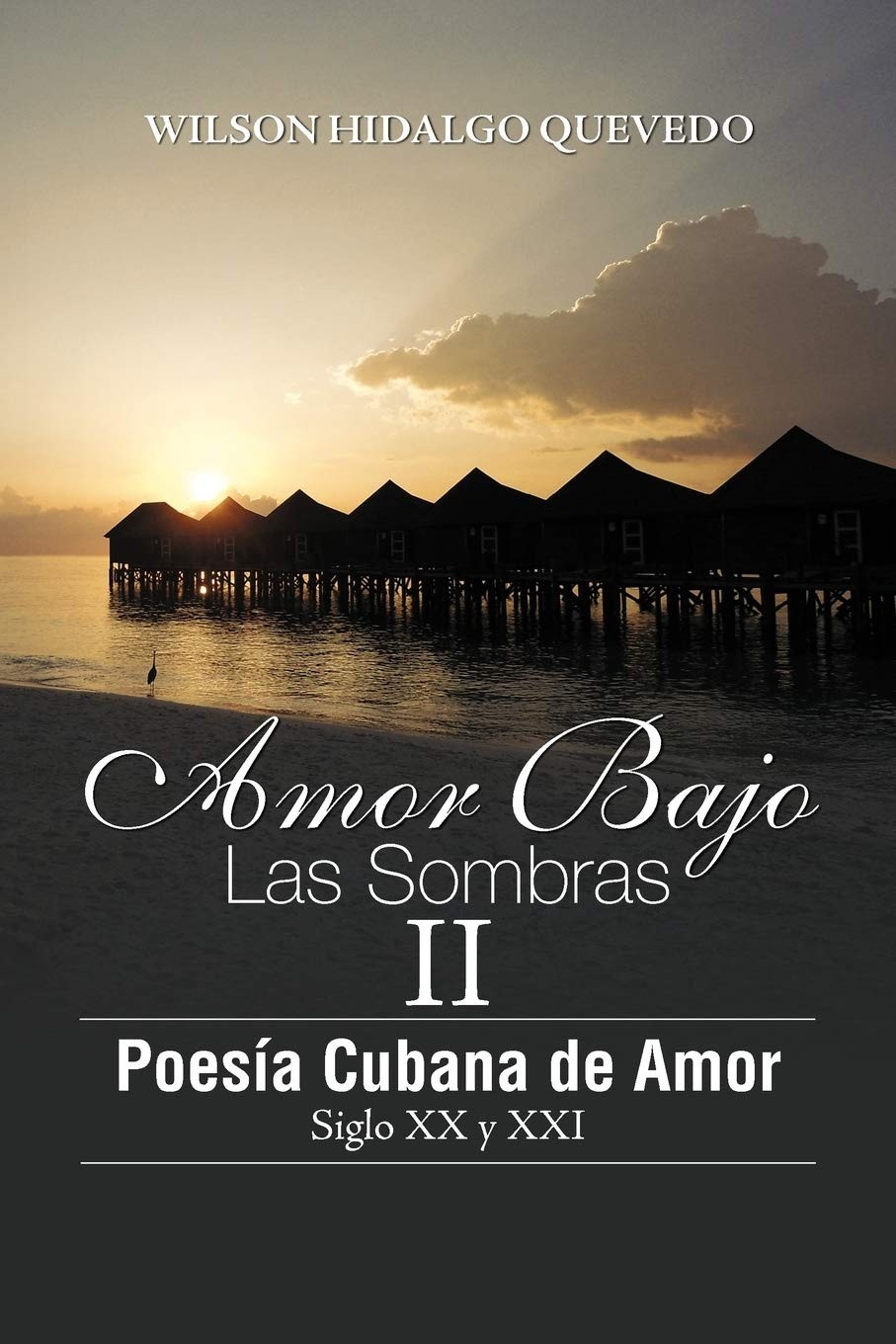 Buy Amor Bajo Las Sombras II (English, Wilson Hidalgo Quevedo) — BookShops.in