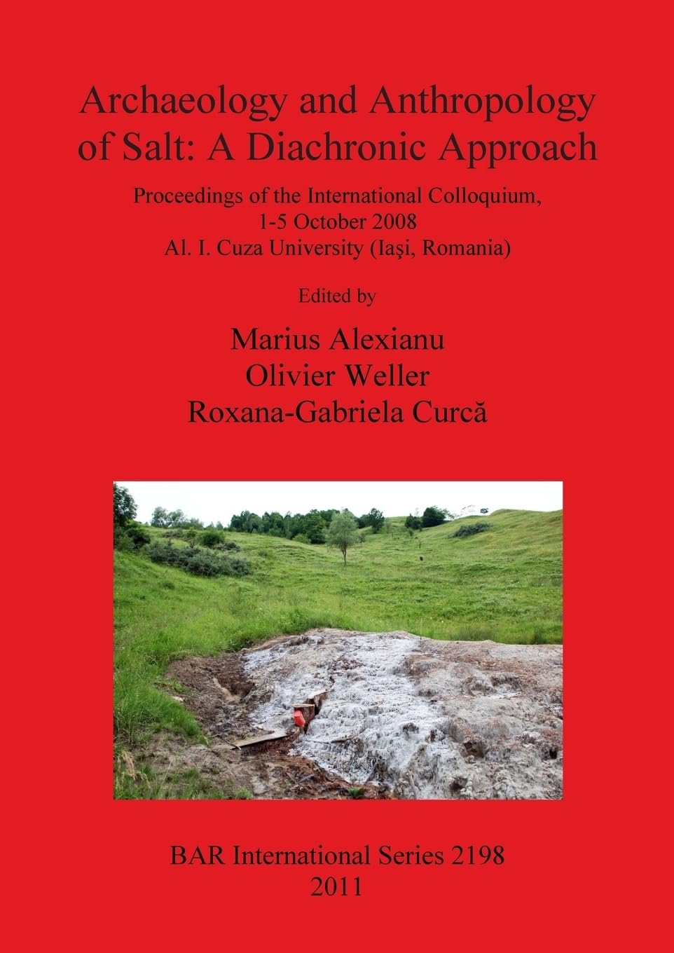 Buy Archaeology and Anthropology of Salt: Proceedings of the Int — BookShops.in