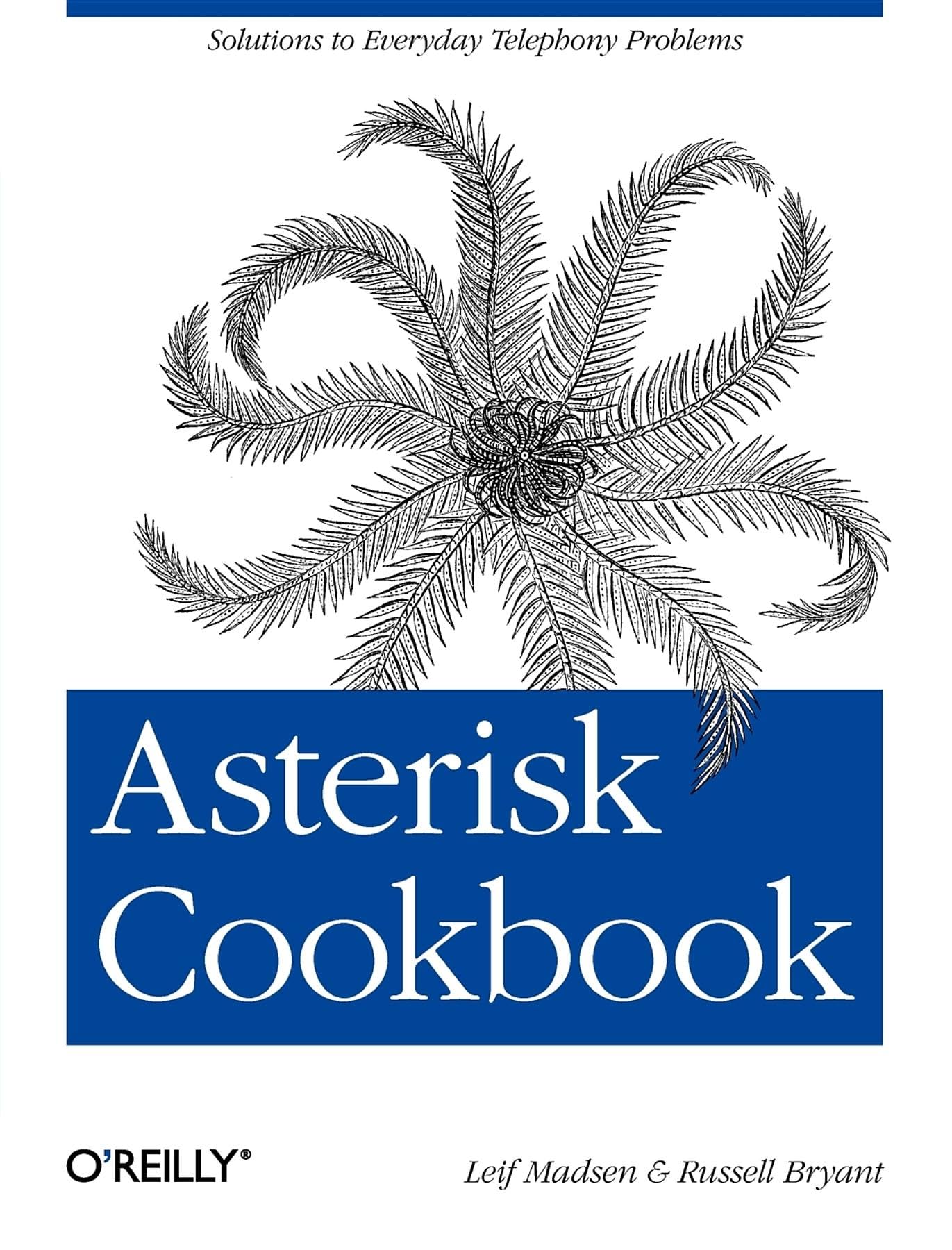 Buy Asterisk Cookbook: Solutions to Everyday Telephony Problems — BookShops.in