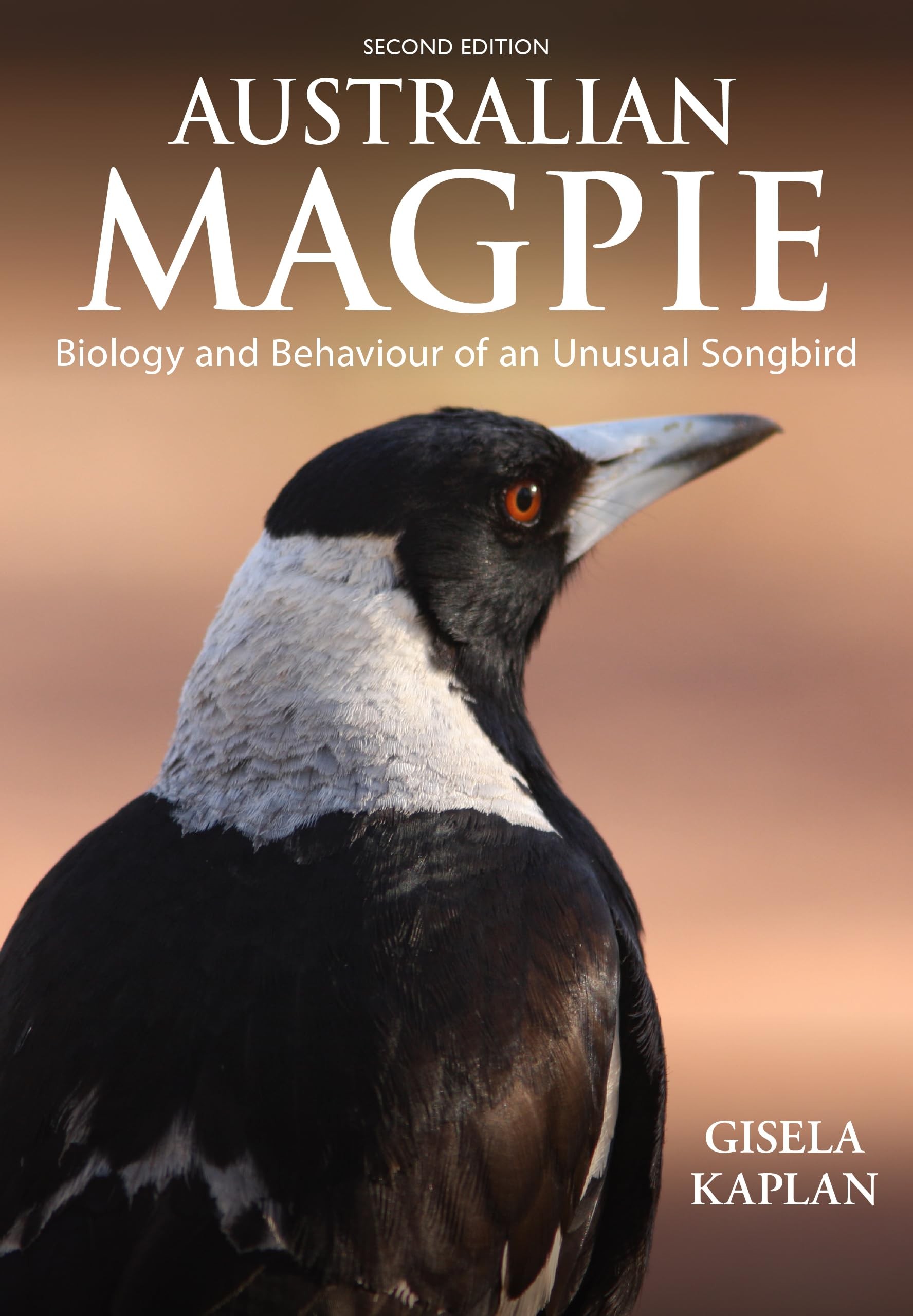 Australian Magpie (English, Gisela Kaplan)