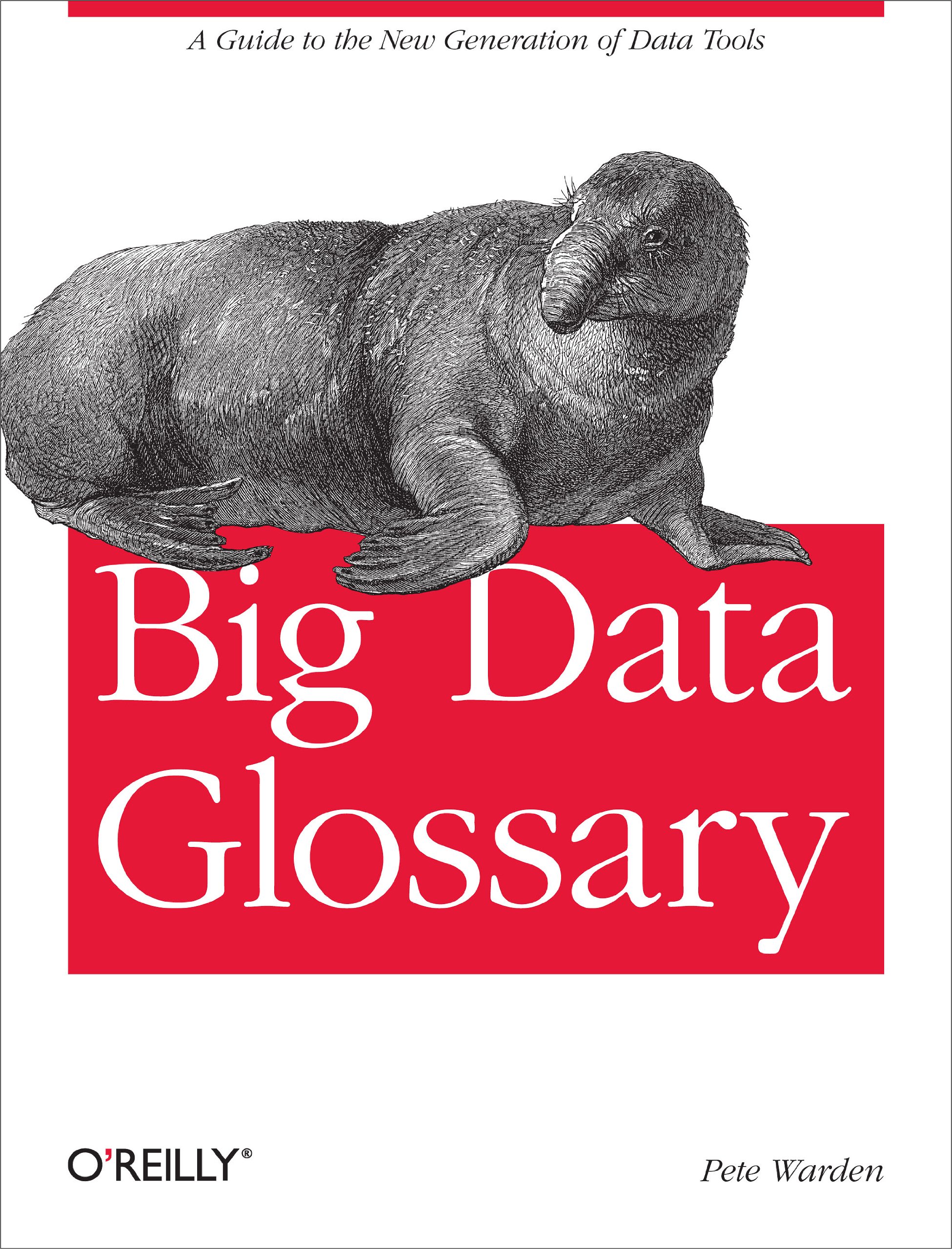 Buy Big Data Glossary by Pete Warden – Data Tools Guide — BookShops.in