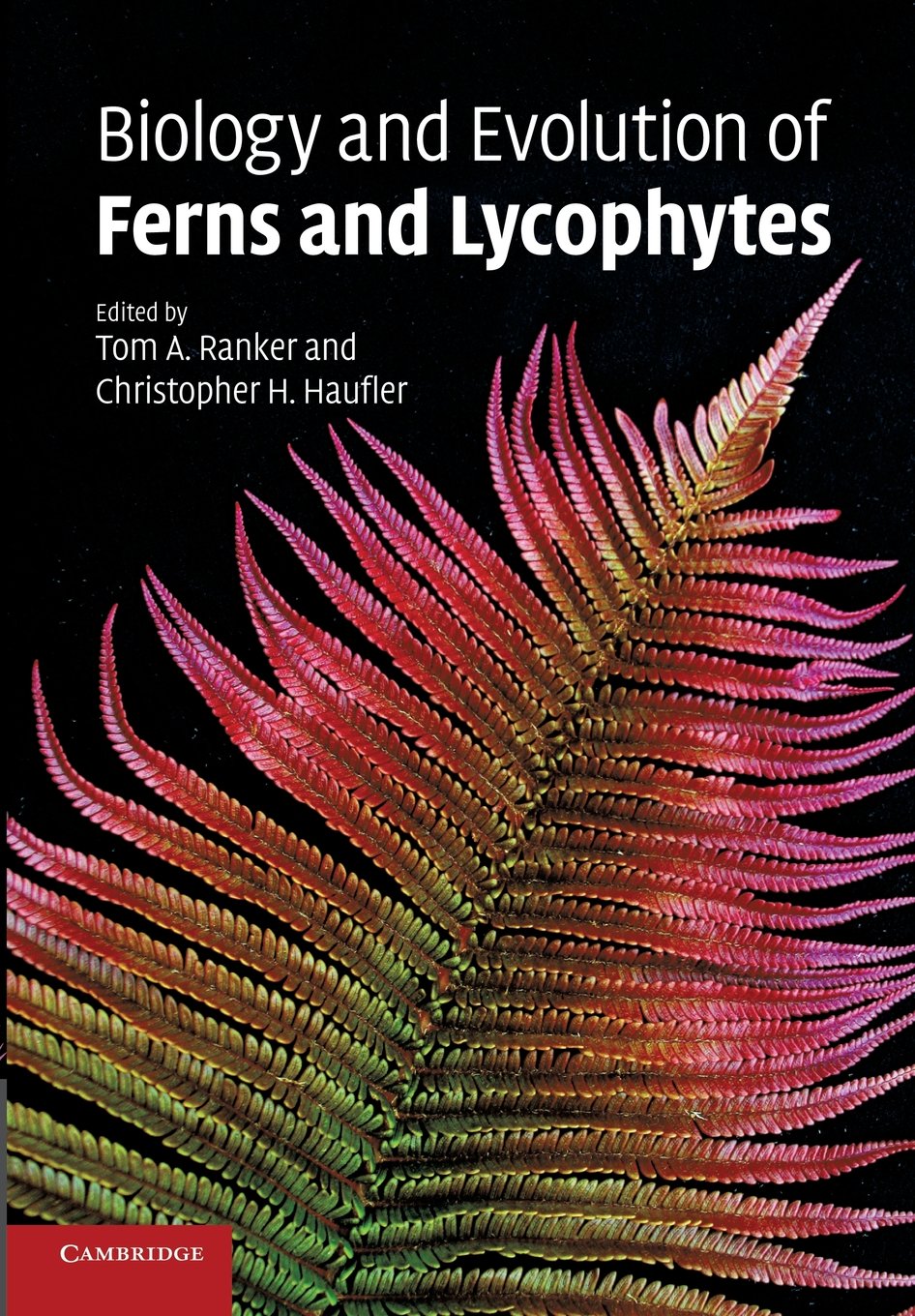 Buy Biology and Evolution of Ferns and Lycophytes by Haufler — BookShops.in