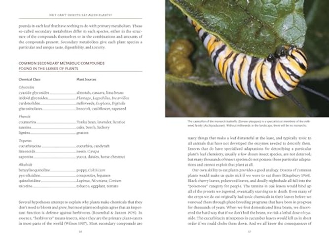 Bringing Nature Home: How You Can Sustain Wildlife with Native Plants – Updated Edition view 6