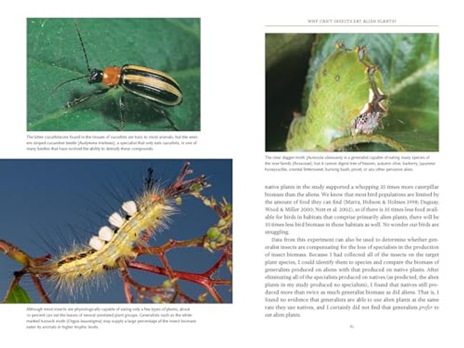 Bringing Nature Home: How You Can Sustain Wildlife with Native Plants – Updated Edition view 7