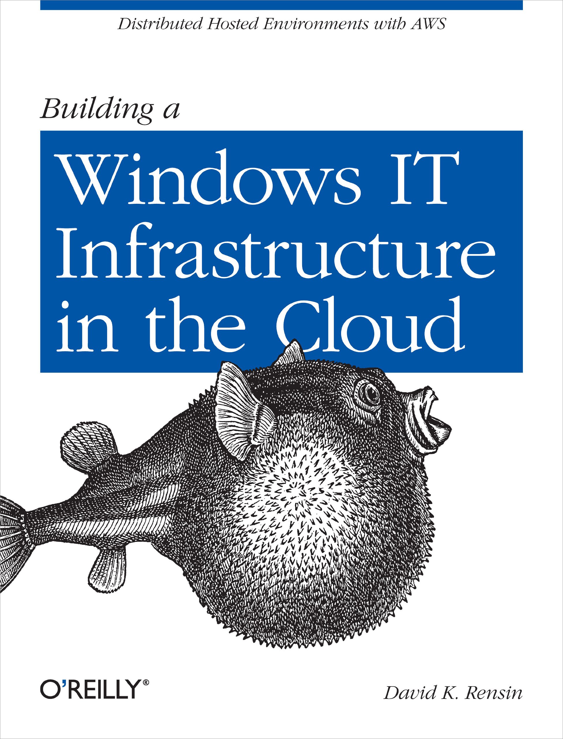 Buy Building a Windows IT Infrastructure in the Cloud by Rensin — BookShops.in