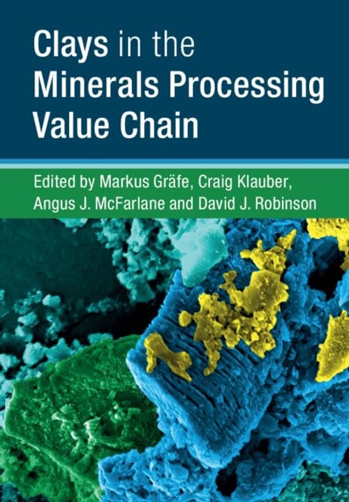 Buy Clays in Minerals Processing by Markus Gräfe — BookShops.in
