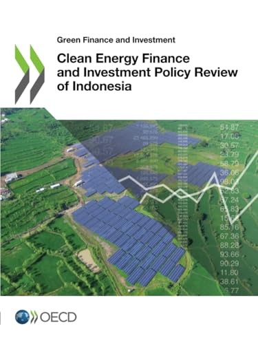 Clean Energy Finance and Investment Policy Review of Indonesia (English, Oecd) view 2
