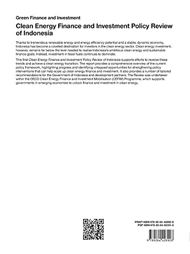 Clean Energy Finance and Investment Policy Review of Indonesia (English, Oecd) view 3