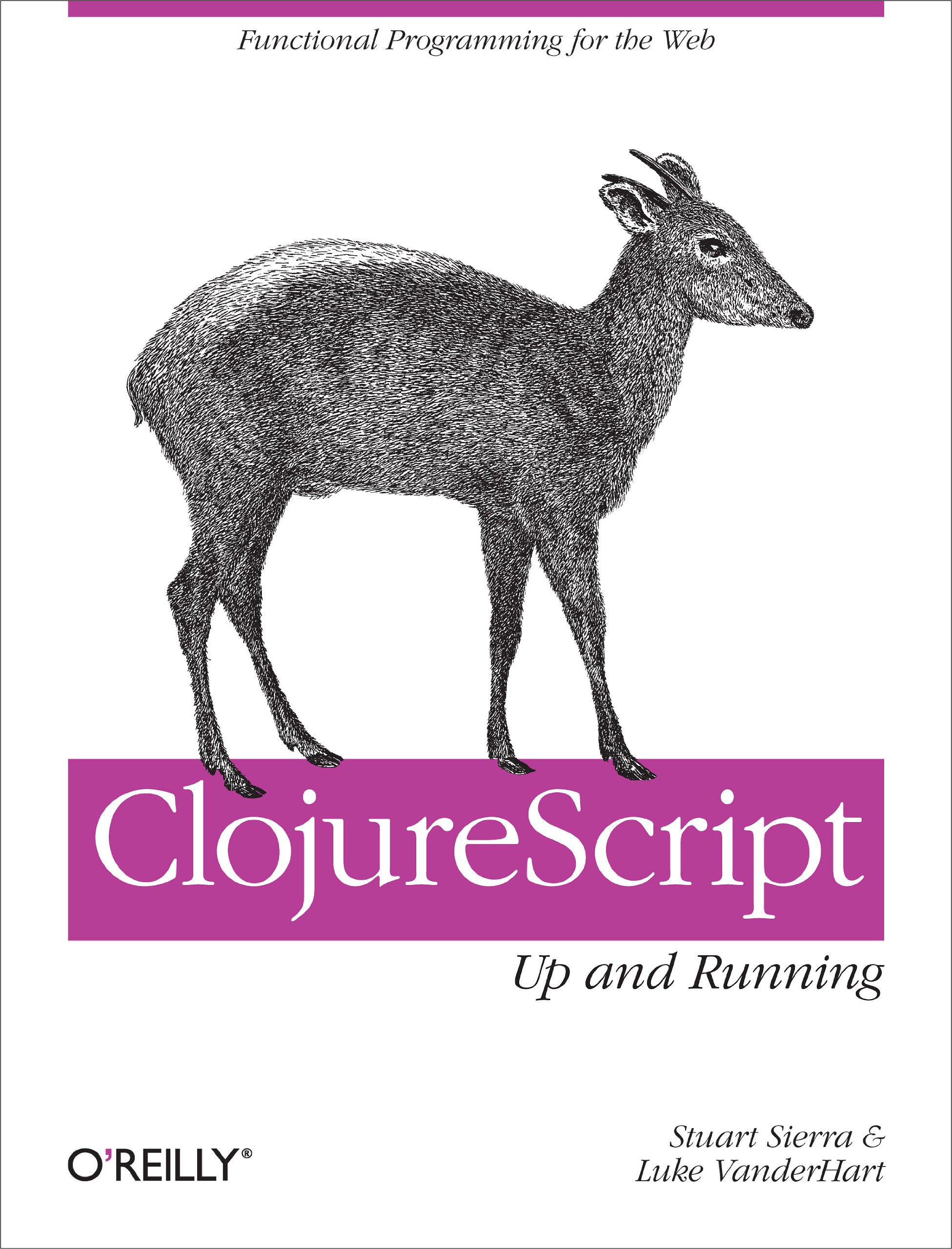Buy ClojureScript – Up and Running: Functional Programming for t — BookShops.in