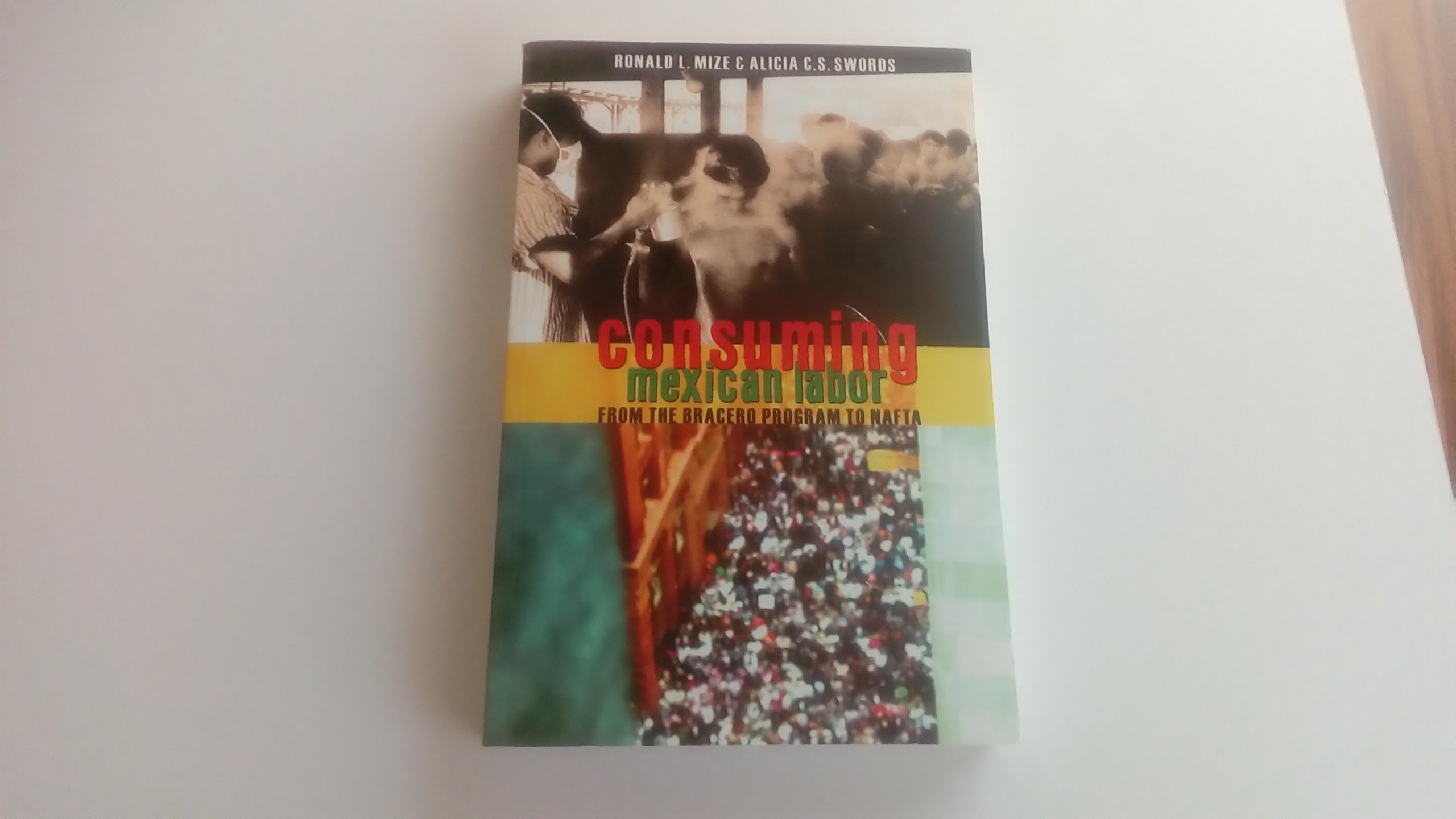 Buy Consuming Mexican Labor by Ronald Mize — BookShops.in