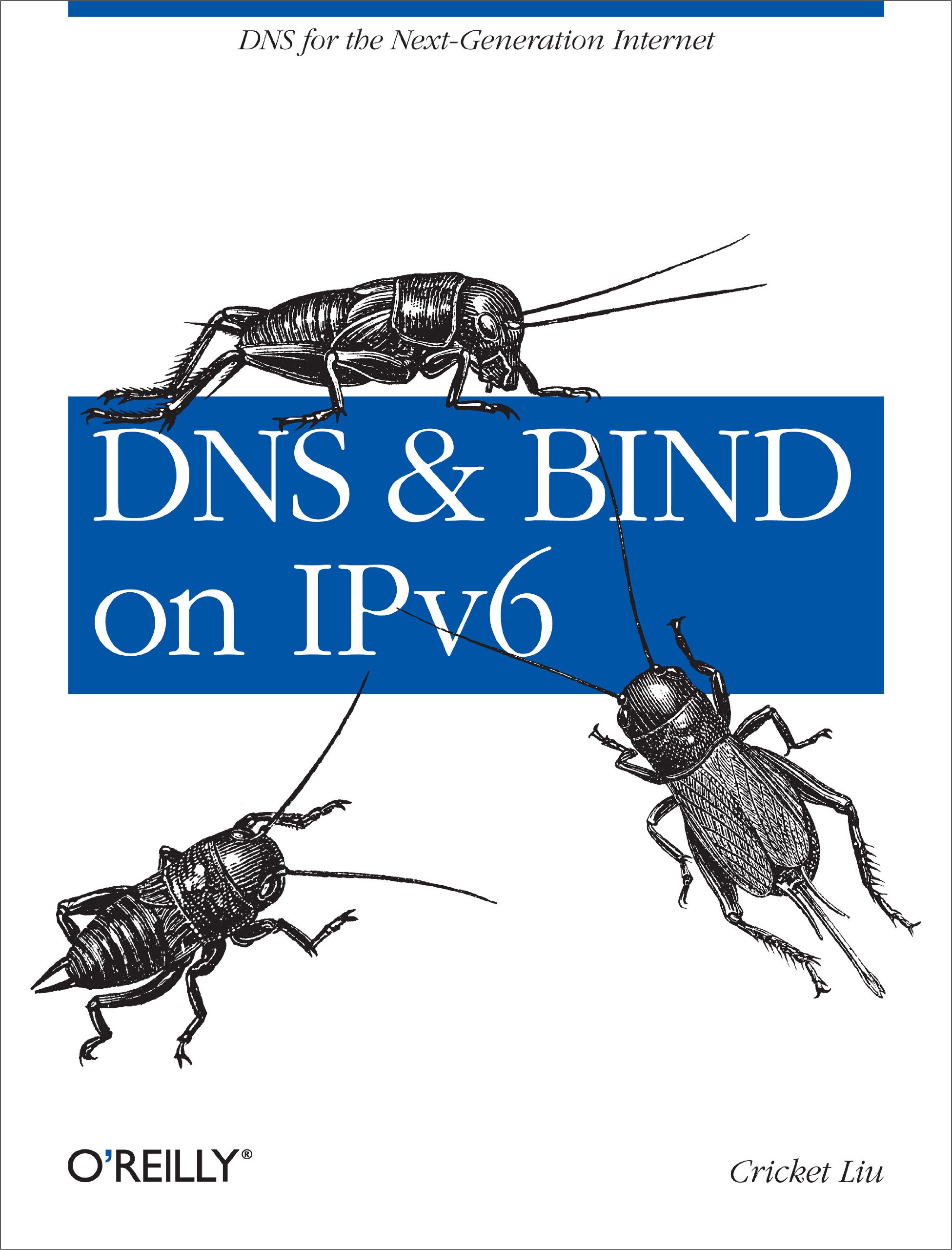 Buy DNS and BIND on IPv6 by Cricket Liu — BookShops.in