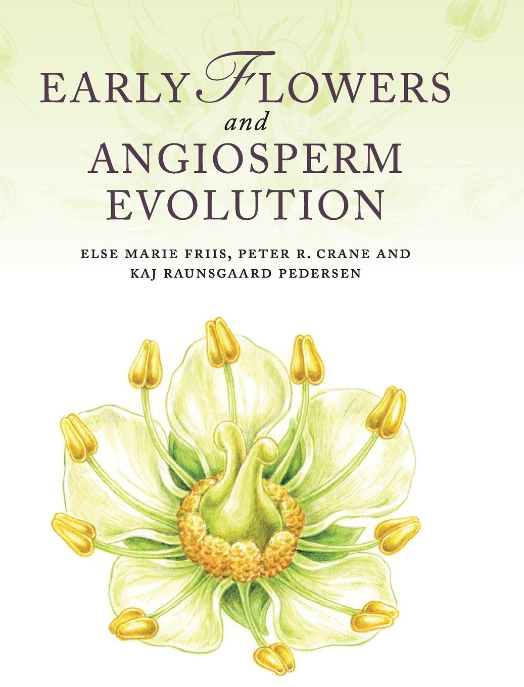 Buy Early Flowers and Angiosperm Evolution by Else Marie Friis — BookShops.in