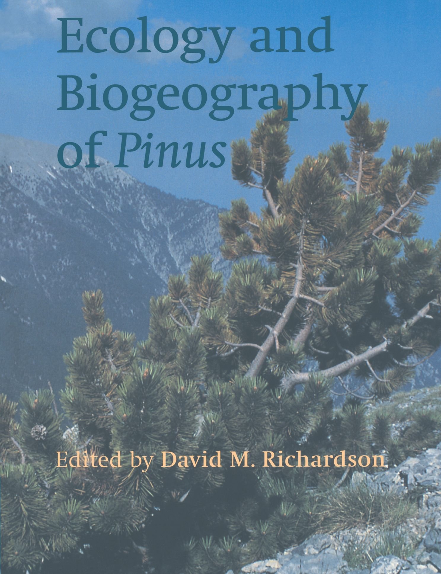 Buy Ecology and Biogeography of Pinus by Richardson — BookShops.in