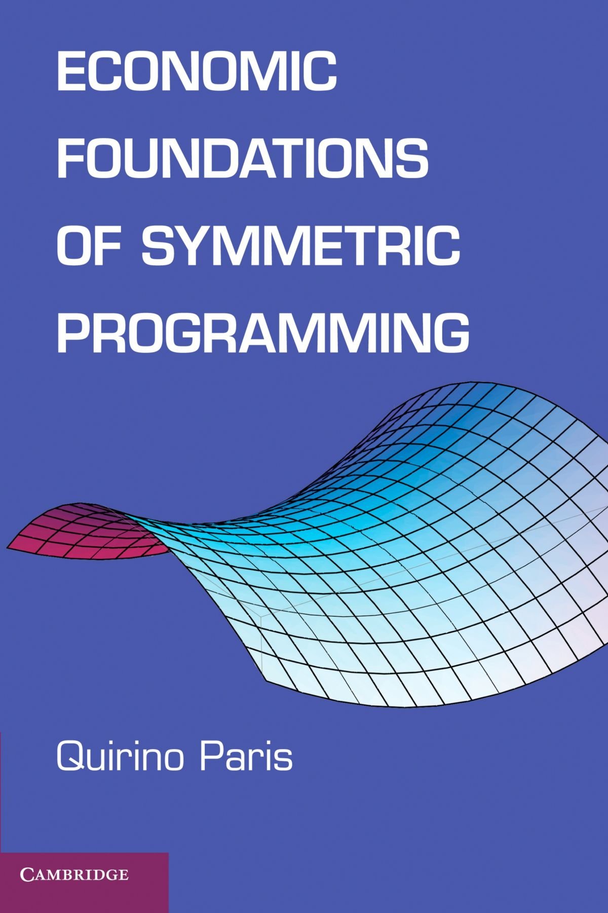 Buy Economic Foundations of Symmetric Programming by Quirino Par — BookShops.in