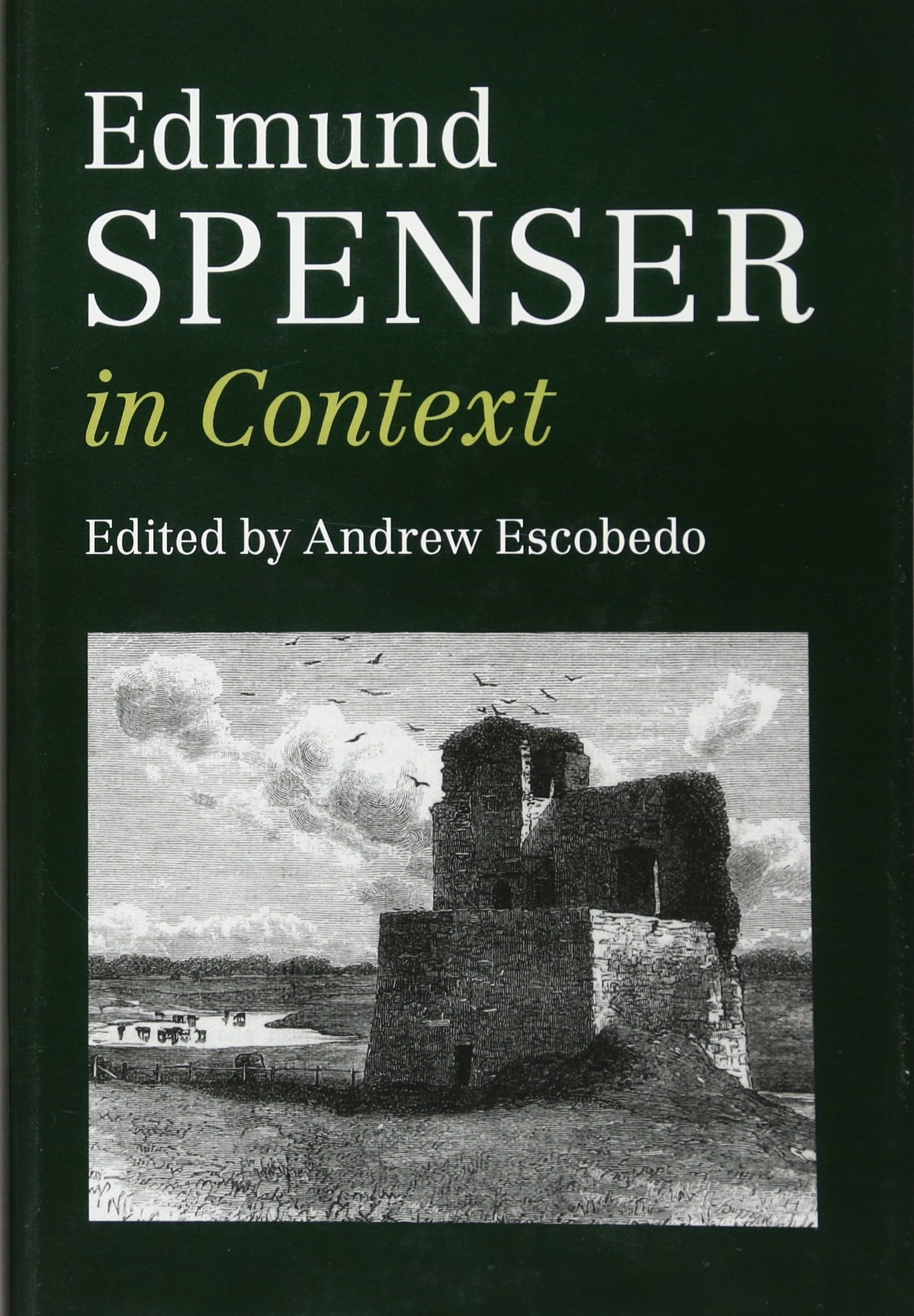 Buy EDMUND SPENSER IN CONTEXT by Andrew Escobedo — BookShops.in
