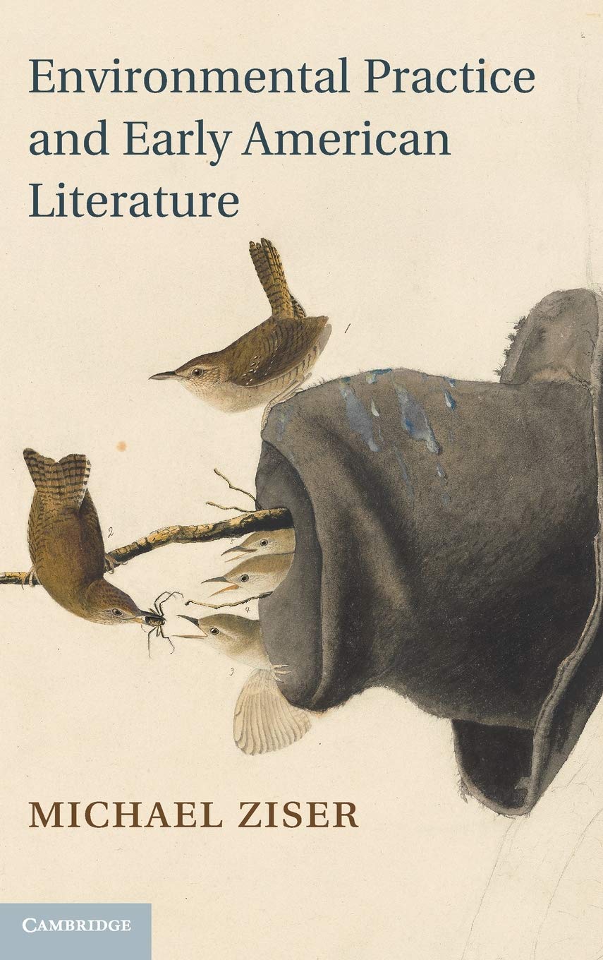Buy Environmental Practice and Early American Literature: 166 by — BookShops.in