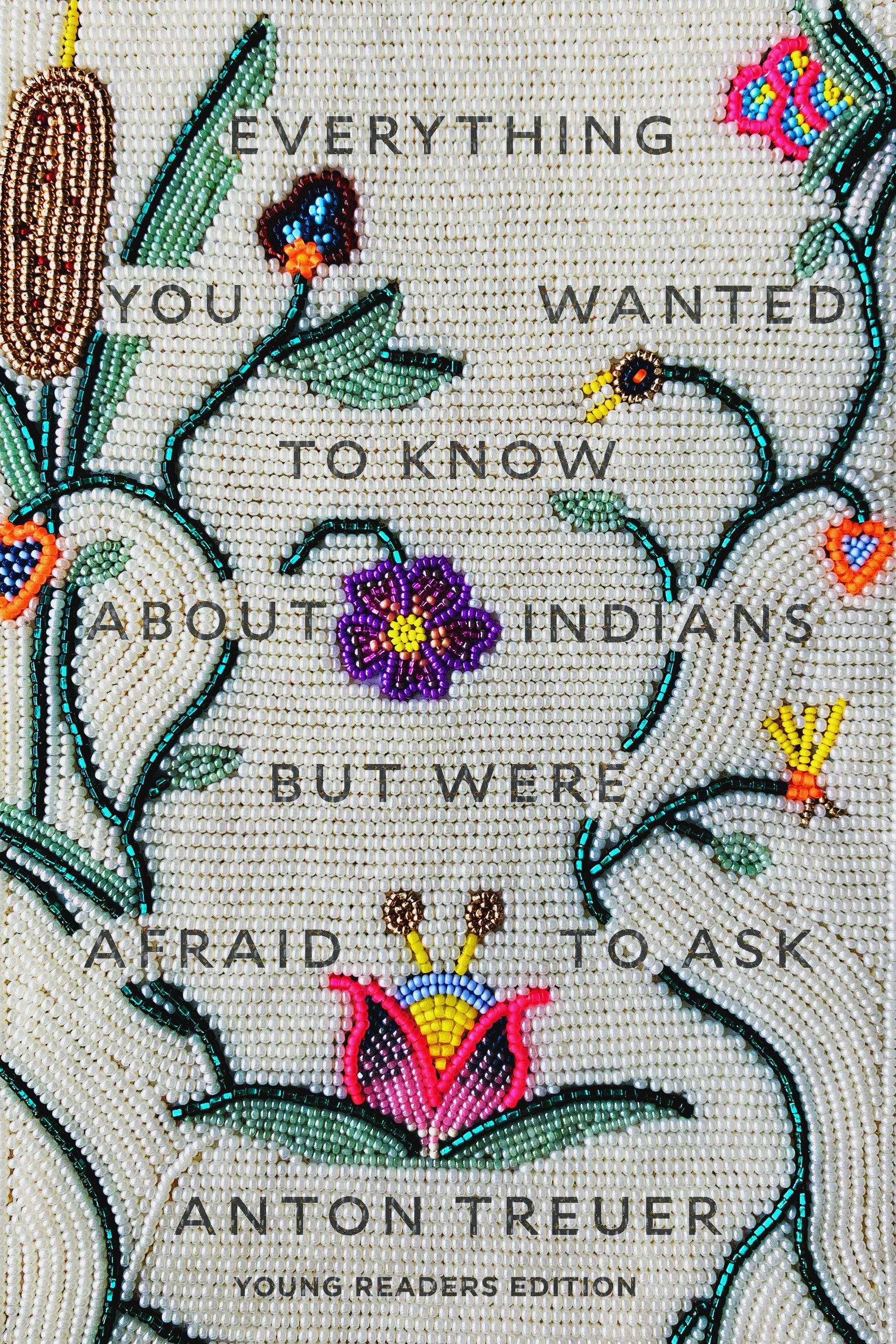Buy Everything You Wanted to Know About Indians by Anton Treuer — BookShops.in