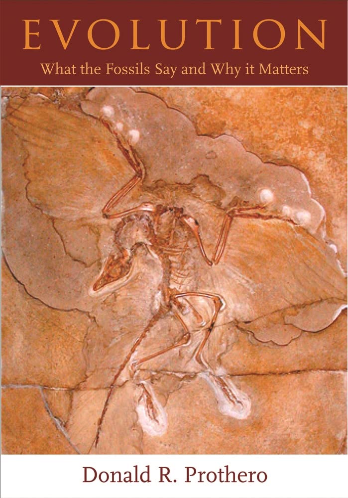 Buy Evolution: What the Fossils Say and Why It Matters by Donald R. Prothero — BookShops.in
