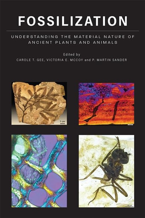Buy Fossilization: Understanding the Material Nature of Ancient Plants and Animals by Carole T. Gee – Pa — BookShops.in