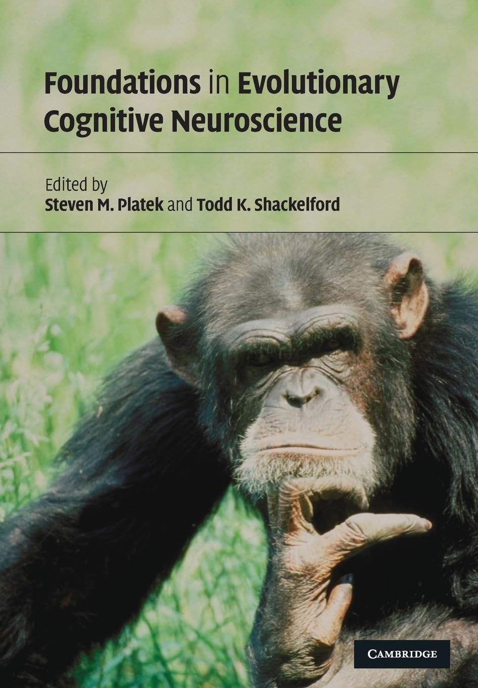 Buy Foundations in Evolutionary Cognitive Neuroscience by Platek — BookShops.in