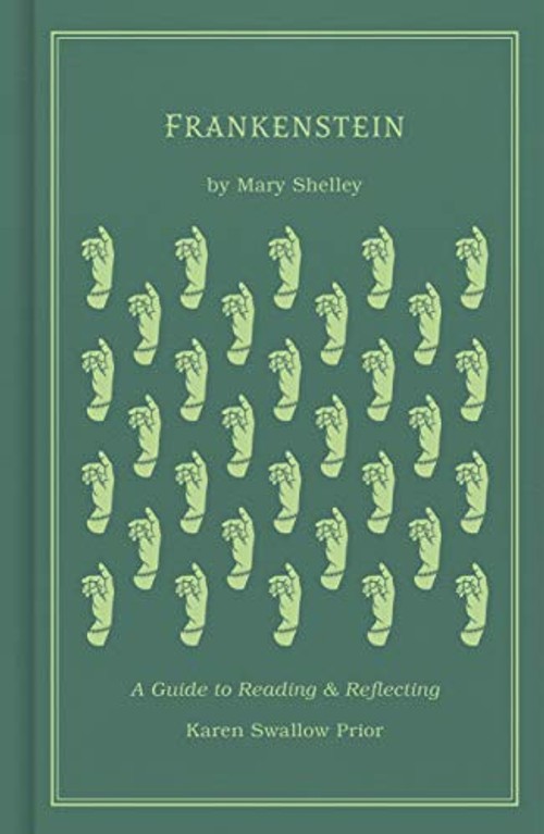 Frankenstein: A Guide to Reading and Reflecting – Christian Literary Analysis view 2