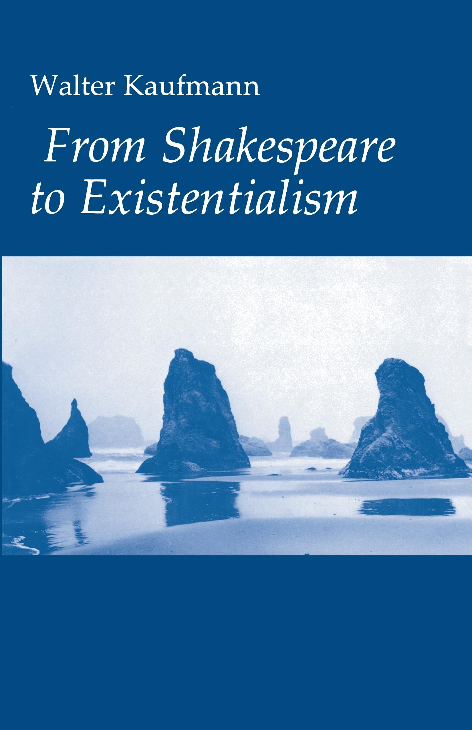 Buy From Shakespeare to Existentialism by Walter A. Kaufmann — BookShops.in