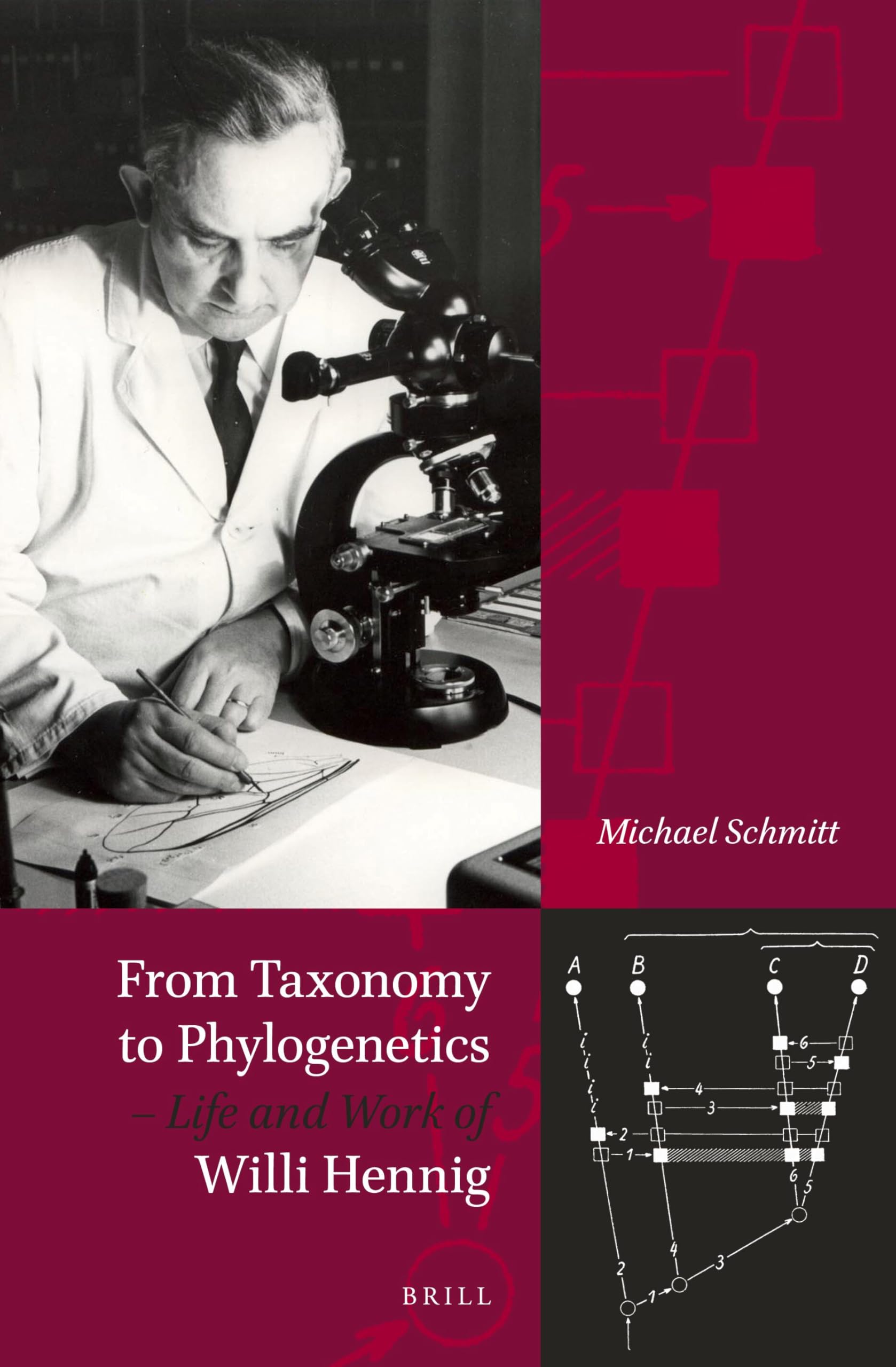 Buy From Taxonomy to Phylogenetics – Life and Work of Willi Hennig — BookShops.in