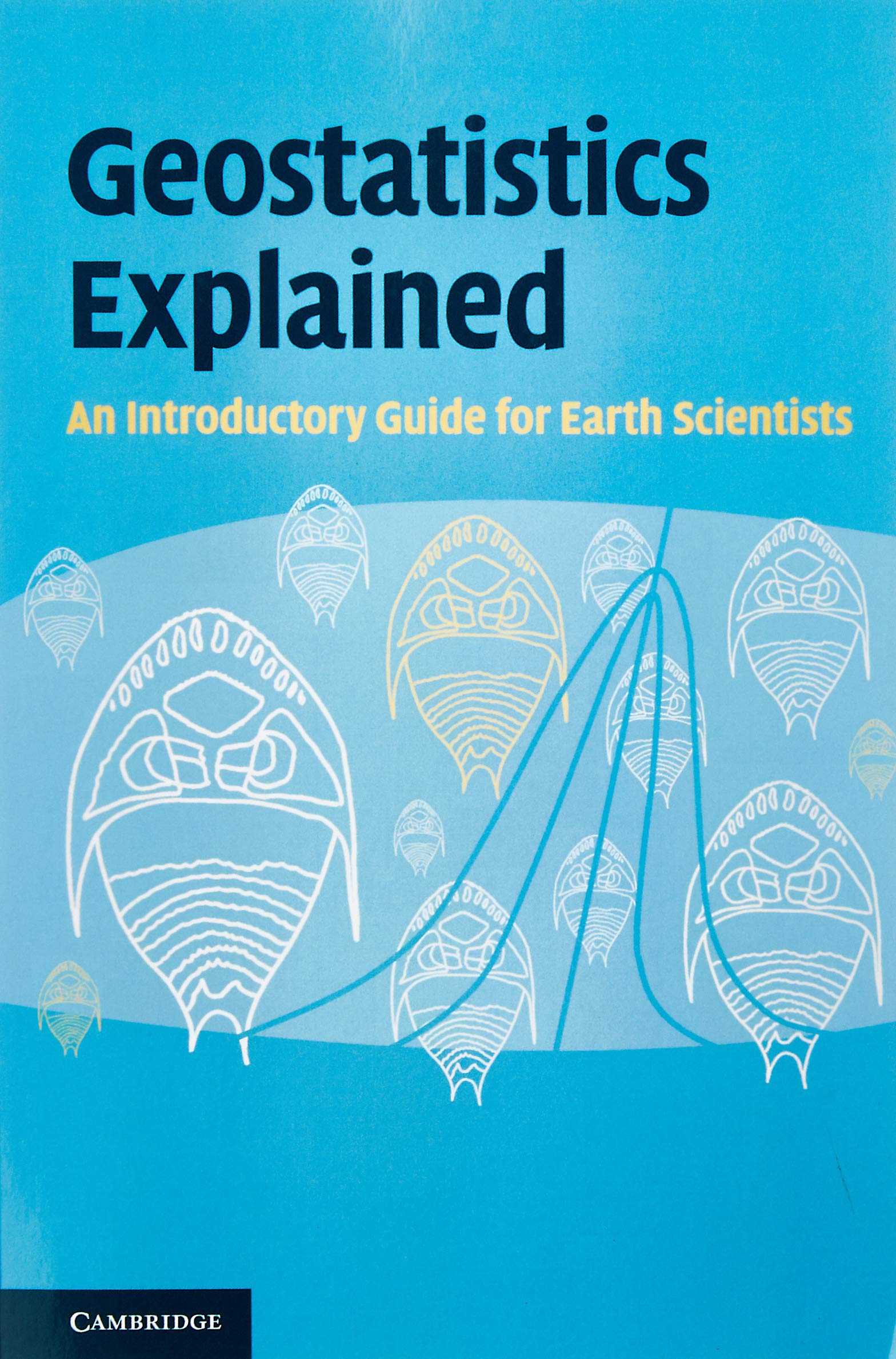 Buy Geostatistics Explained by Stephen McKillup – Stats Guide — BookShops.in