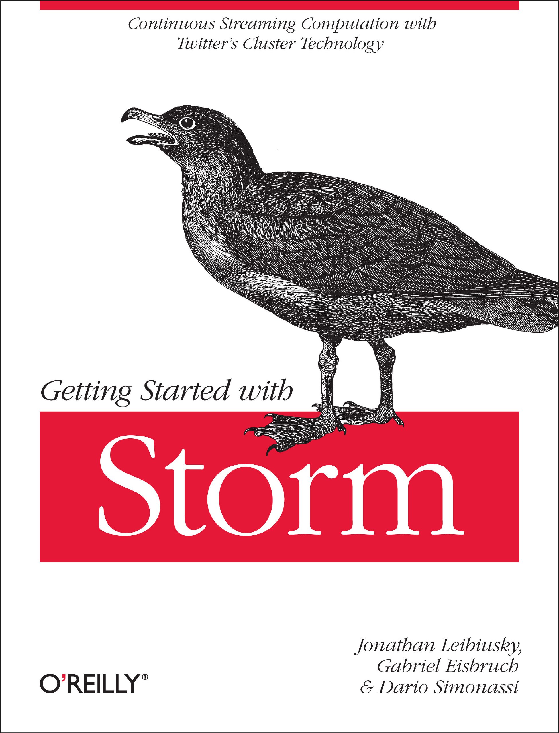 Buy Getting Started with Storm: Continuous Streaming Computation — BookShops.in