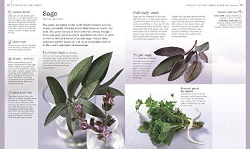 Herbs & Spices: A Complete Cookbook and Kitchen Reference by Jill Norman view 3