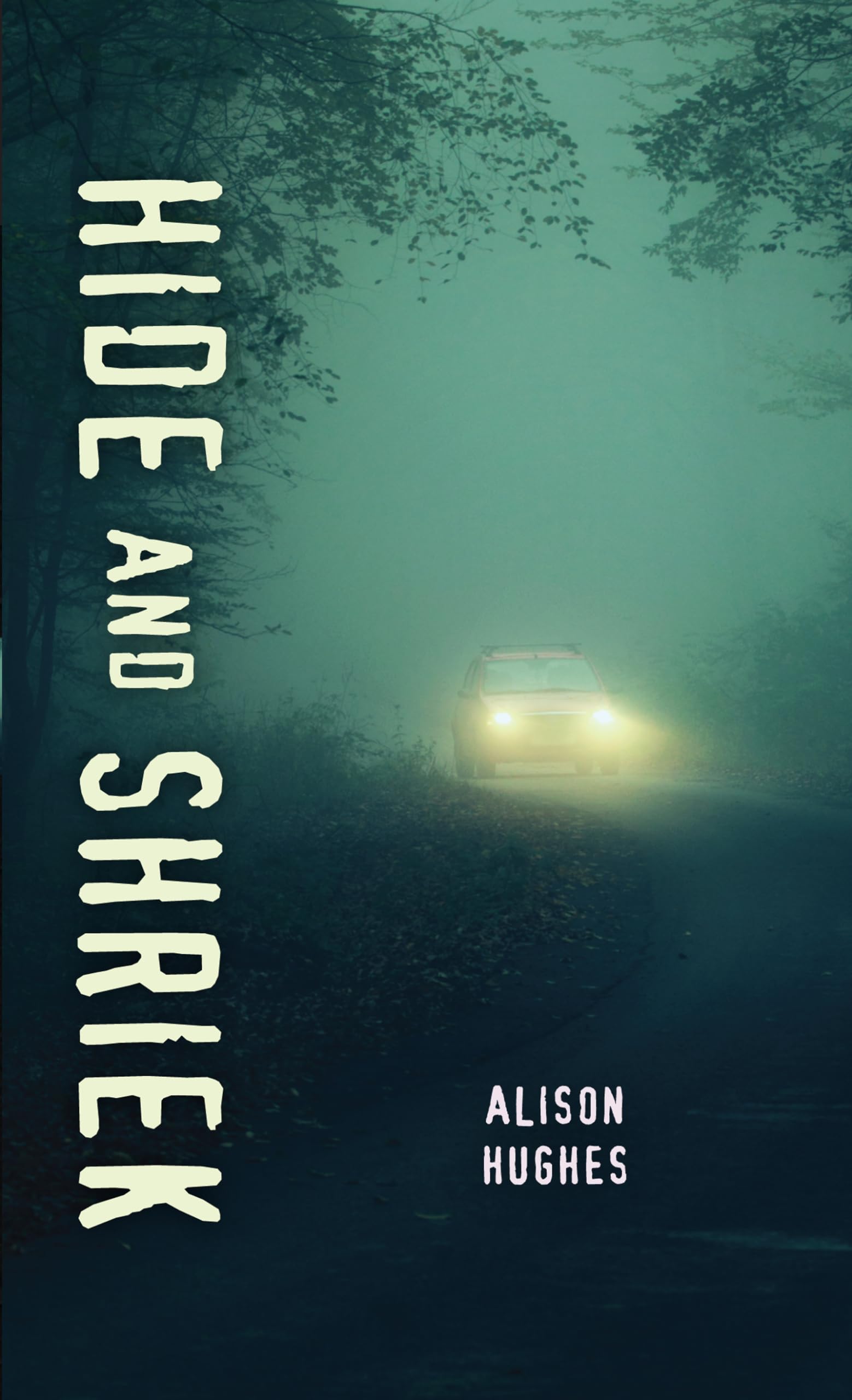 Buy Hide and Shriek by Alison Hughes — BookShops.in