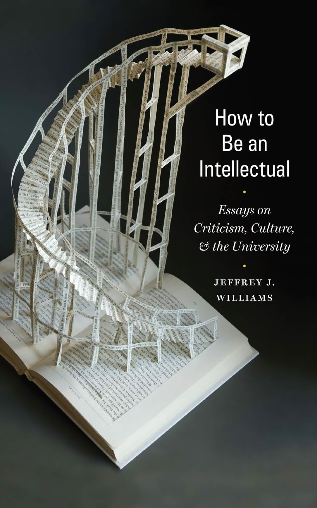 Buy How to Be an Intellectual by Jeffrey J. Williams — BookShops.in