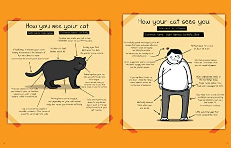 How to Tell If Your Cat Is Plotting to Kill You – The Oatmeal view 7
