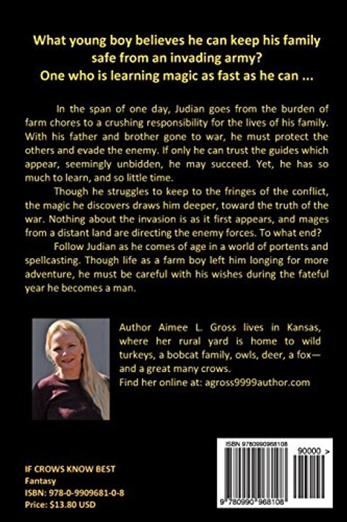 If Crows Know Best – Aimee L. Gross – Moon Road Press view 3