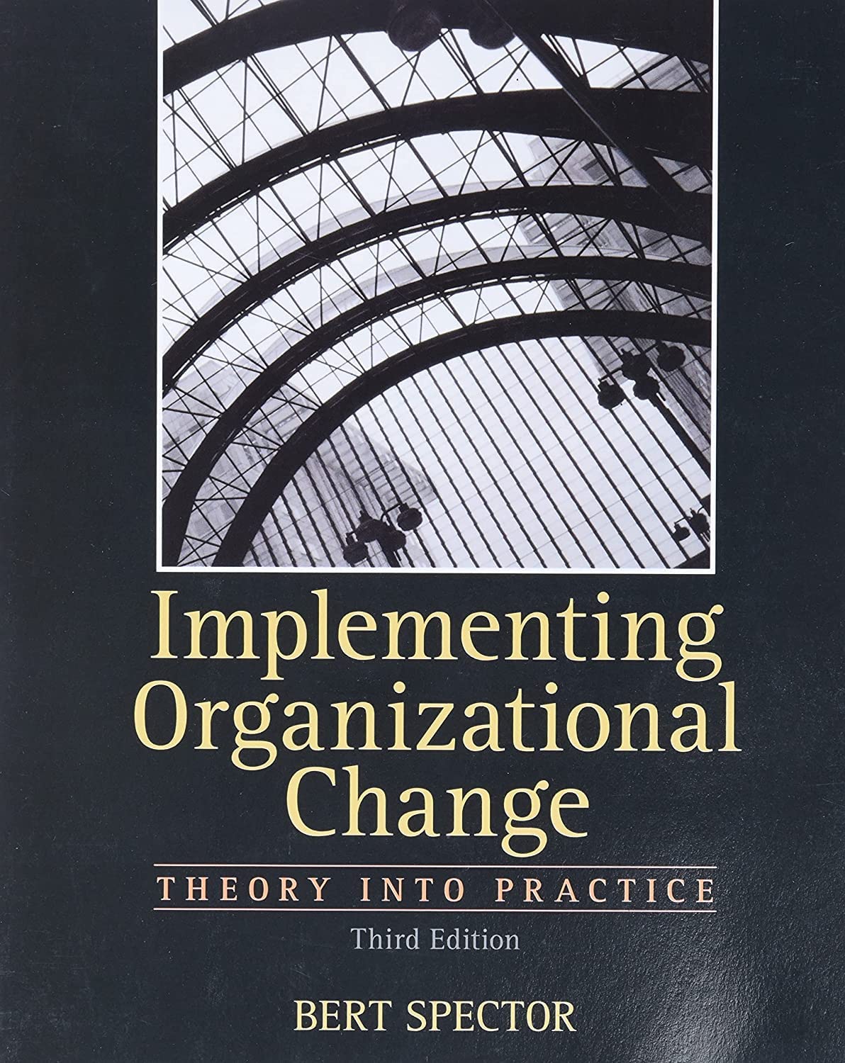 Buy Implementing Organizational Change — BookShops.in