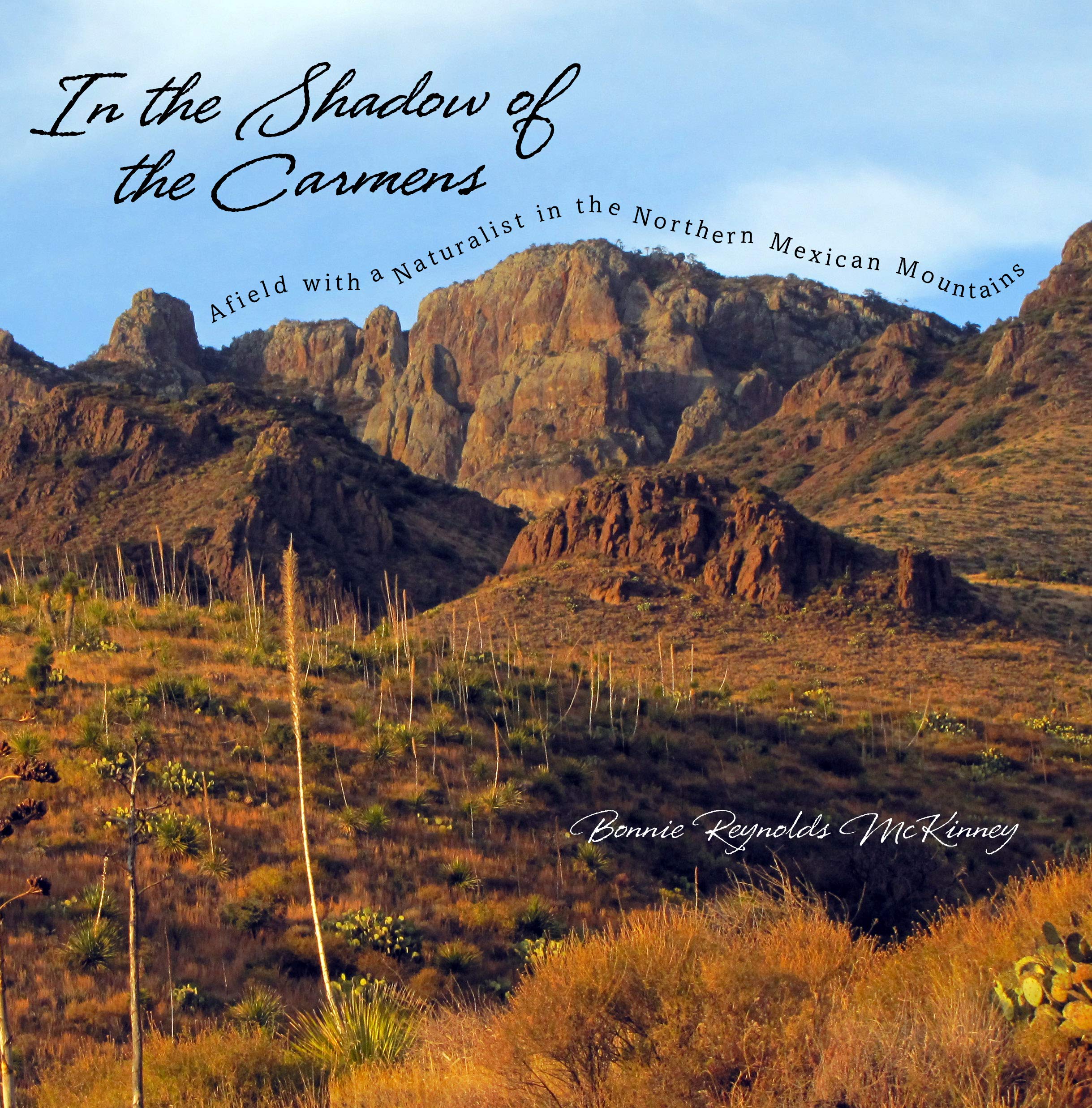 Buy In the Shadow of the Carmens: Afield with a Naturalist in the Northern Mexican Mountains by Bonnie R — BookShops.in