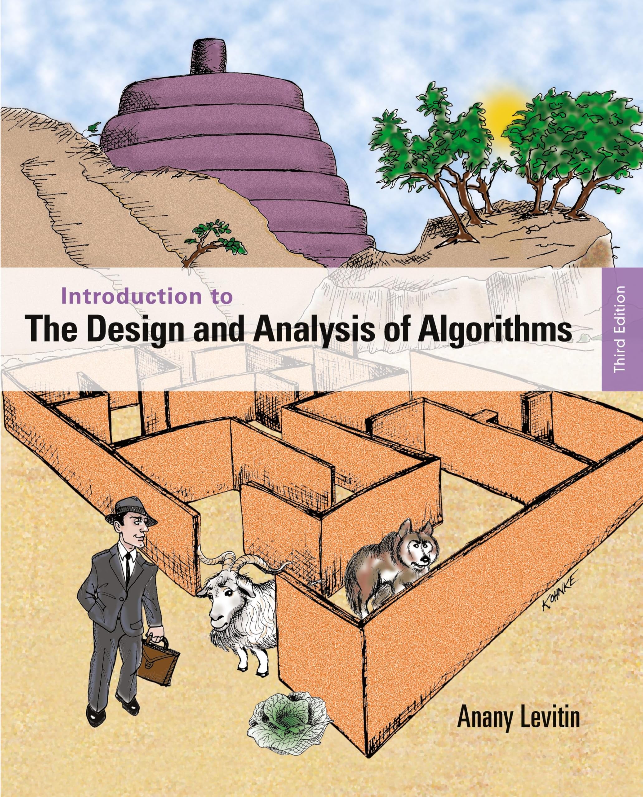 Buy Introduction to the Design and Analysis of Algorithms by Ana — BookShops.in