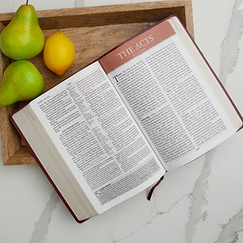 KJV Study Bible, Large Print by Thomas Nelson view 3