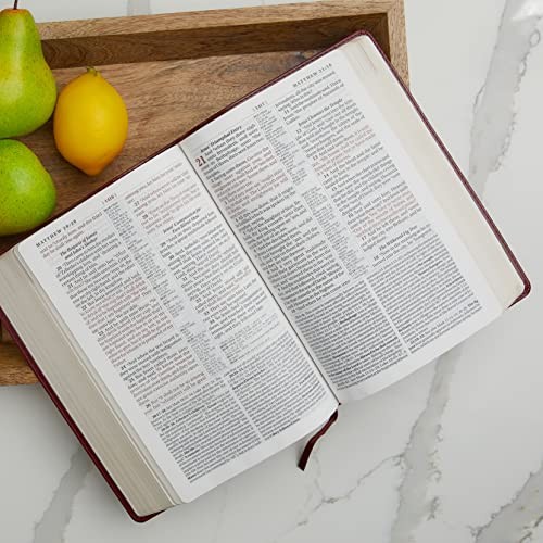 KJV Study Bible, Large Print by Thomas Nelson view 4