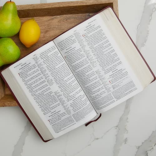 KJV Study Bible, Large Print by Thomas Nelson view 5