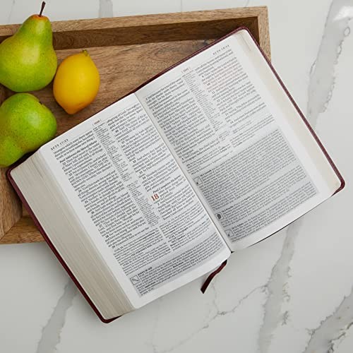KJV Study Bible, Large Print by Thomas Nelson view 6