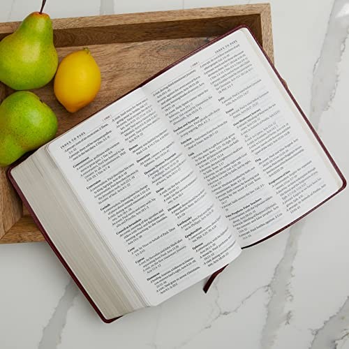KJV Study Bible, Large Print by Thomas Nelson view 7