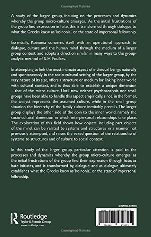 Koinonia: From Hate, Through Dialogue, to Culture in the Large Group – Patrick B. Demare view 4