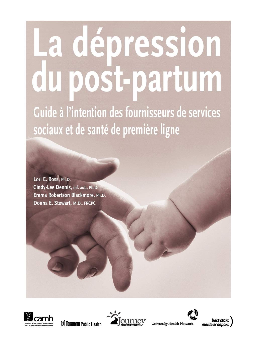Buy La Depression Du Post-Partum: Guide a L'intention Des Fournisseurs De Services Sociaux Et De Sante De Premiere Ligne | by Lori E. Ross | Cindy-Lee Dennis | Emma Robertson Blackmore | Centre for Addiction and Mental Health | French — BookShops.in