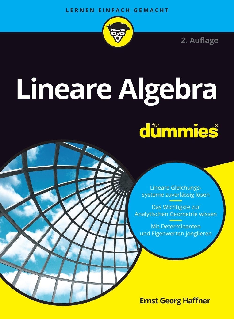 Buy Lineare Algebra fur Dummies by Ernst Georg Haffner — BookShops.in