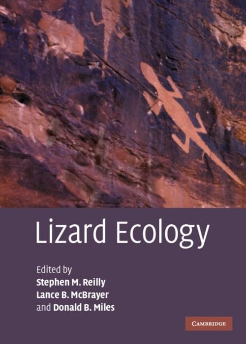 Buy Lizard Ecology by Stephen M. Reilly – Herpetology — BookShops.in